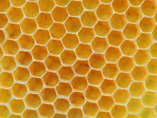 Reasons why honey is a superb supplement to sugar