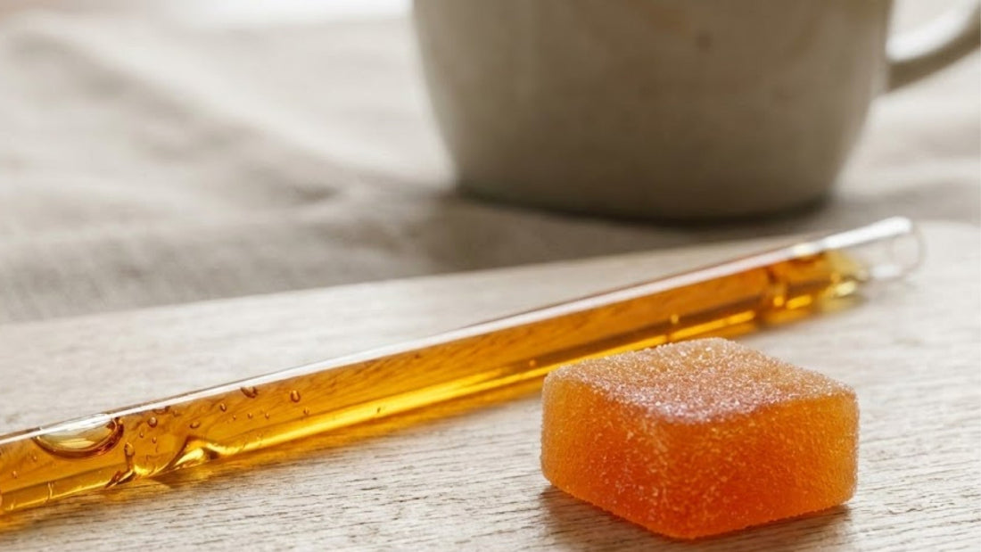 THC Honey vs THC Gummies: Which Is Better for Modern Wellness?