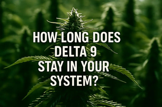 How Long Does Delta 9 Stay in Your System? | THC Detection & Drug Test Guide