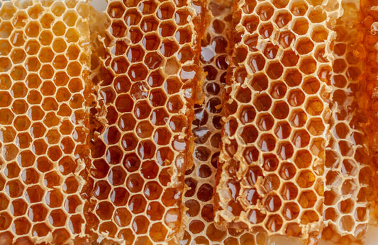 THC Gummies vs. THC Honey Sticks: What’s Right for You?